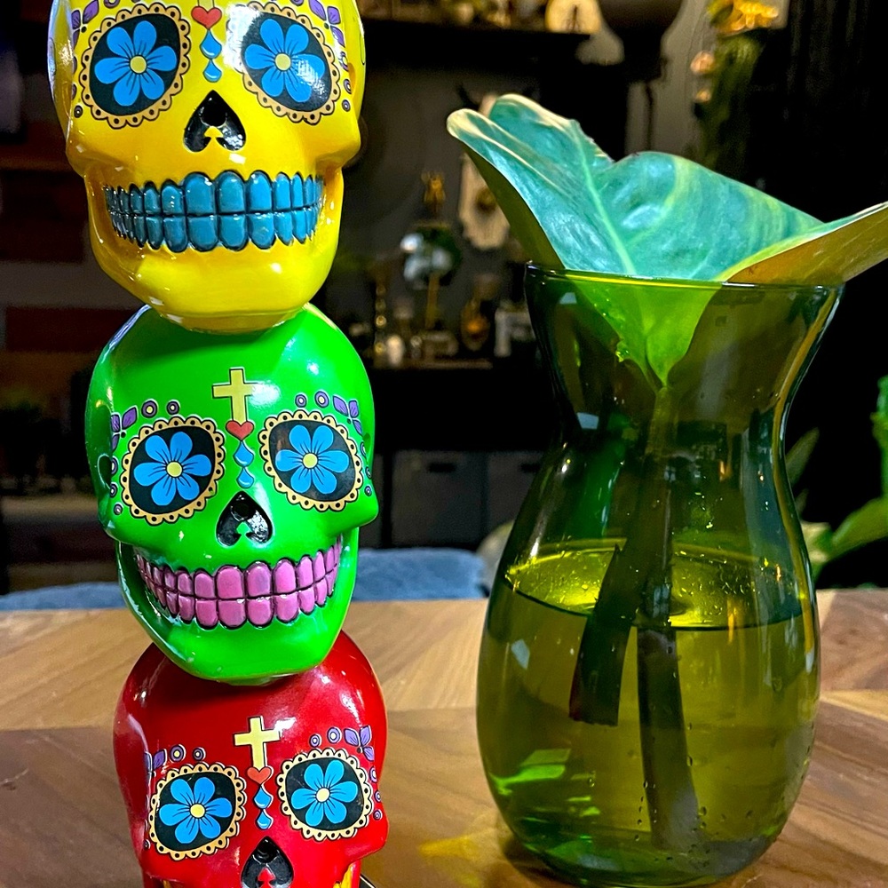 Day of the Dead Skulls 💀